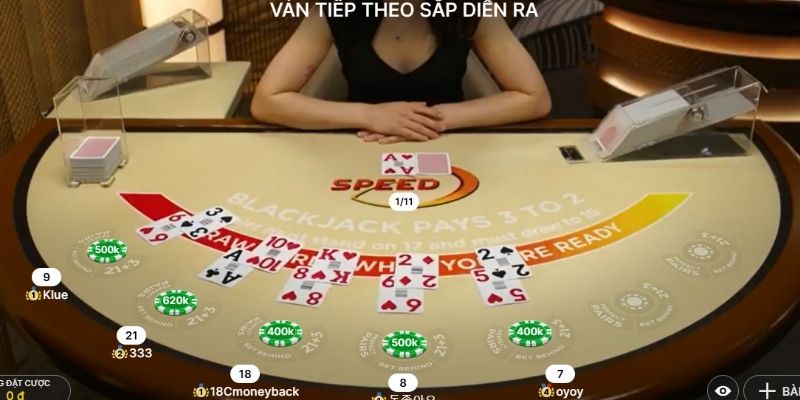 Blackjack - mẹo chơi tân binh không nên bỏ qua